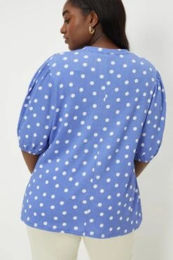 Dorothy Perkins Curve Blue Spot Short Sleeve Overhead Blouse 8 Dorothy Perkins Curve Blue Spot Short Sleeve Overhead Blouse -Perkindo Store bqq11666 blue xl 2