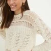 Dorothy Perkins Petite Crochet Long Sleeve Top 2 Dorothy Perkins Petite Crochet Long Sleeve Top -Perkindo Store bqq13184 ivory xl